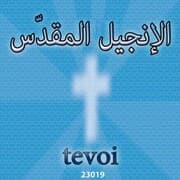 Cover von Bible (holy book)