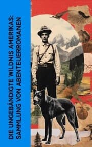 Cover von Die ungebändigte Wildnis Amerikas: Sammlung von Abenteuerromanen