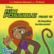 Cover von 15: Die Fahrprüfung / Das Affen-Amulett (Hörspiel zur Disney TV-Serie)