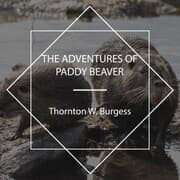 Cover von The Adventures of Paddy Beaver