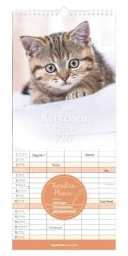 Cover von Kätzchen 2027