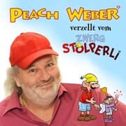 Cover von De Zwerg Stolperli ond de zerbrocheni Zauberstab