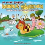Cover von 74: Warum sind Quallen durchsichtig?