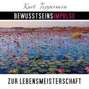 Cover von Bewusstseinsimpulse zur Lebensmeisterschaft