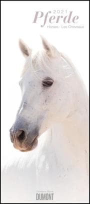 Cover von Pferde, Horses, Les Cheveaux 2021