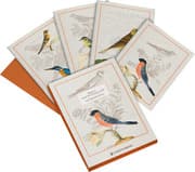Cover von Pasta für Nachtigallen Grußkarten-Set