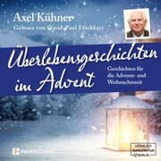 Cover von Überlebensgeschichten im Advent