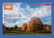 Cover von Bäume im Herbst / Kamishibai Bildkarten