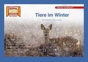 Cover von Tiere im Winter / Kamishibai Bildkarten