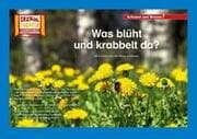 Cover von Was blüht und krabbelt da? / Kamishibai Bildkarten