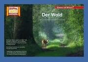 Cover von Der Wald / Kamishibai Bildkarten