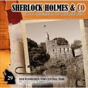 Cover von Der Schrecken vom Central Park