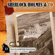 Cover von Das flammende Phantom