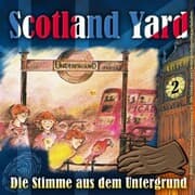 Cover von Die Stimme aus dem Untergrund