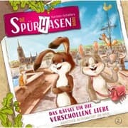 Cover von Das Rätsel um die verschollene Liebe oder Abenteuer in Frankfurt am Main