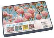 Cover von Bäume und Blüten