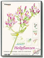 Cover von Kunstkarten-Box Heilpflanzen