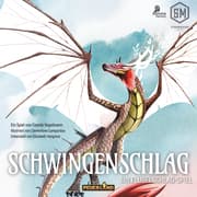 Cover von Schwingenschlag