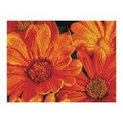 Cover von Diamond Painting Mittagsblume