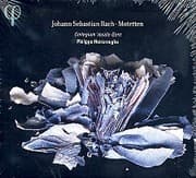 Cover von Motetten