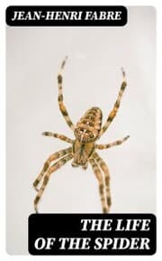 Cover von The Life of the Spider