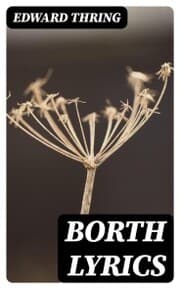 Cover von Borth Lyrics