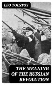 Cover von The Meaning of the Russian Revolution