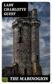 Cover von The Mabinogion