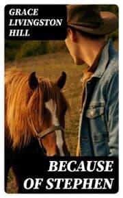 Cover von Because of Stephen