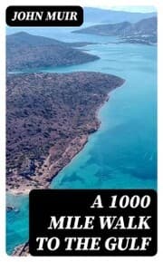 Cover von A 1000 Mile Walk to the Gulf