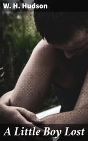 Cover von A Little Boy Lost
