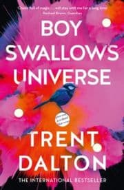 Cover von Boy Swallows Universe