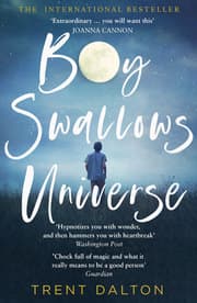 Cover von Boy Swallows Universe