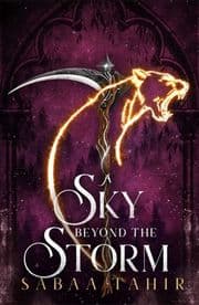 Cover von A Sky Beyond the Storm