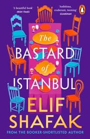 Cover von The Bastard of Istanbul