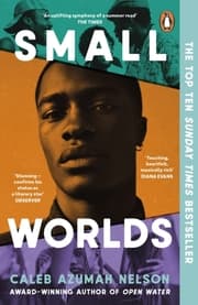 Cover von Small Worlds