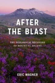 Cover von After the Blast