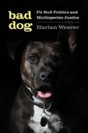 Cover von Bad Dog