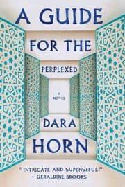 Cover von A Guide for the Perplexed
