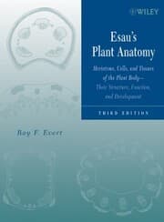 Cover von Esau's Plant Anatomy
