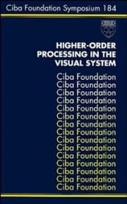 Cover von Higher-Order Processing in the Visual System
