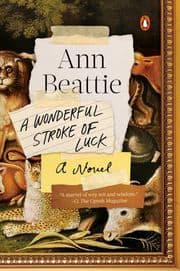 Cover von A Wonderful Stroke of Luck