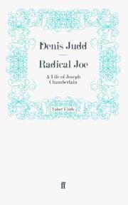 Cover von Radical Joe