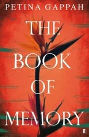 Cover von The Book of Memory
