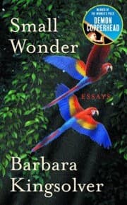 Cover von Small Wonder