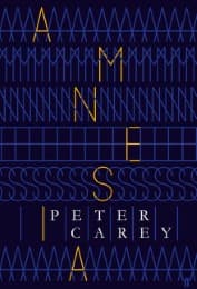 Cover von Amnesia