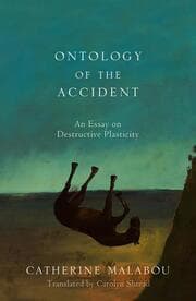 Cover von The Ontology of the Accident