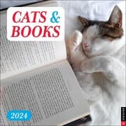 Cover von Cats & Books 2024