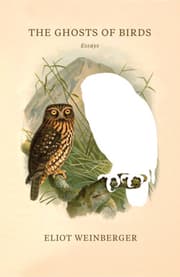 Cover von The Ghosts of Birds