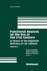 Cover von Functional Analysis on the Eve of the 21st Century Volume II